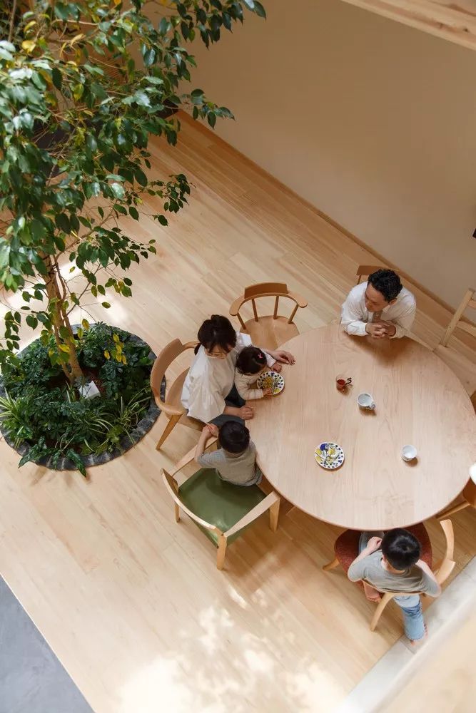 室内有棵树的私人住宅丨日本京都丨07BEACH │Joe Chikamori近森穣-19