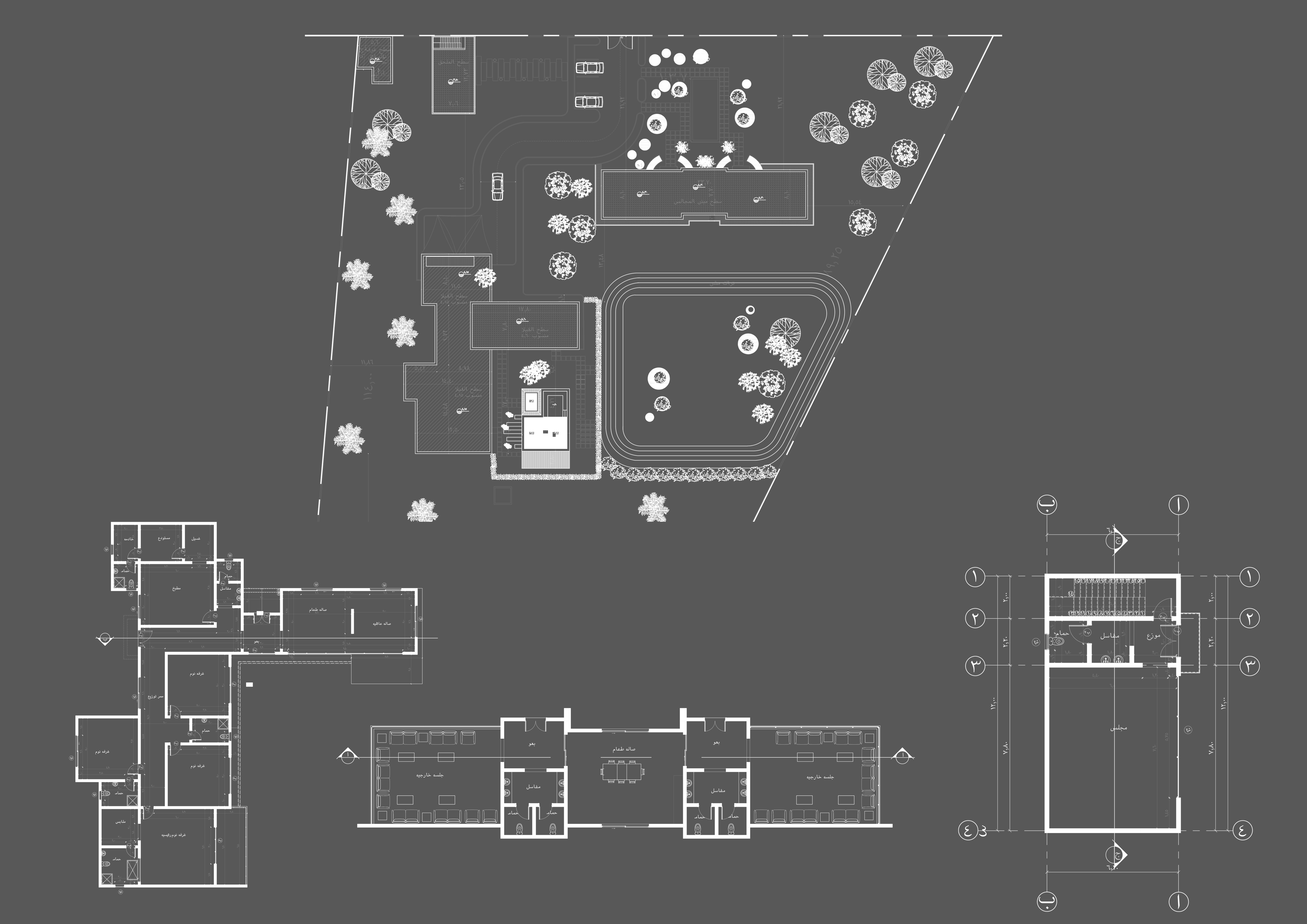 Exterior Modern Chalet With Rest Landscape Design-0