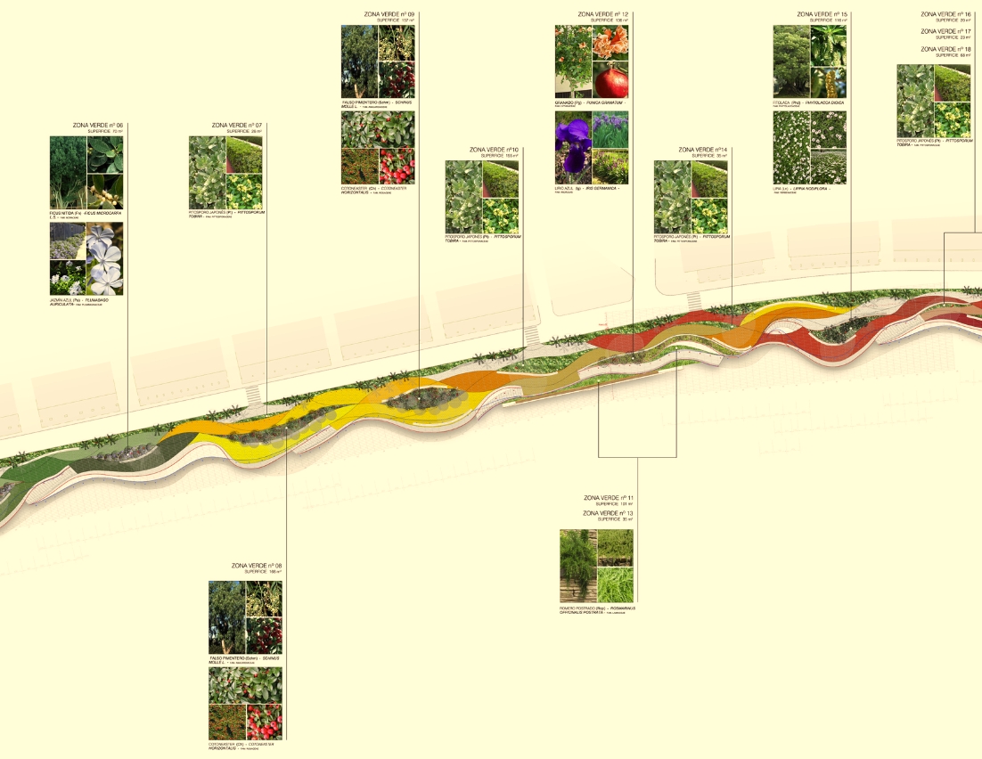 贝尼多姆海滨步道丨玻利维亚贝尼-54