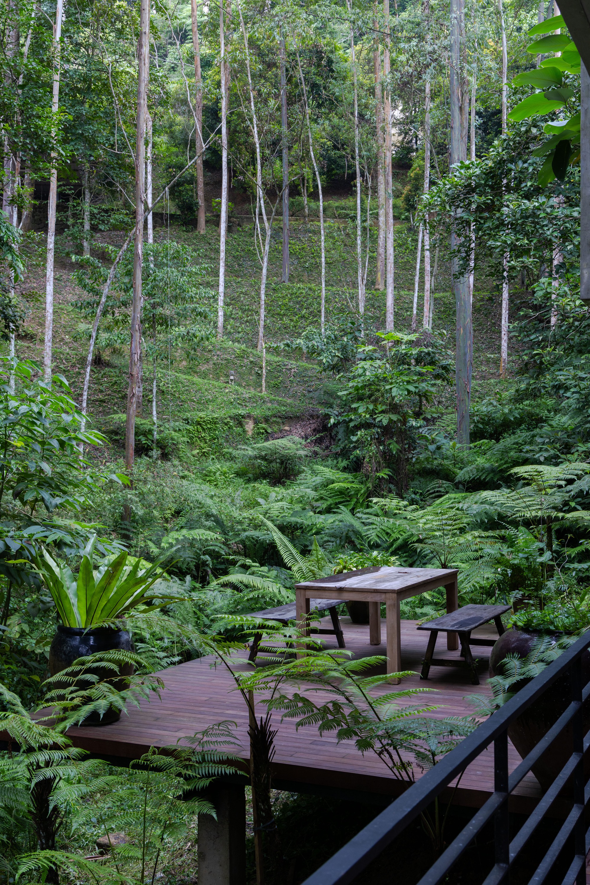 丨马来西亚彭亨丨Choo Gim Wah Architect-40