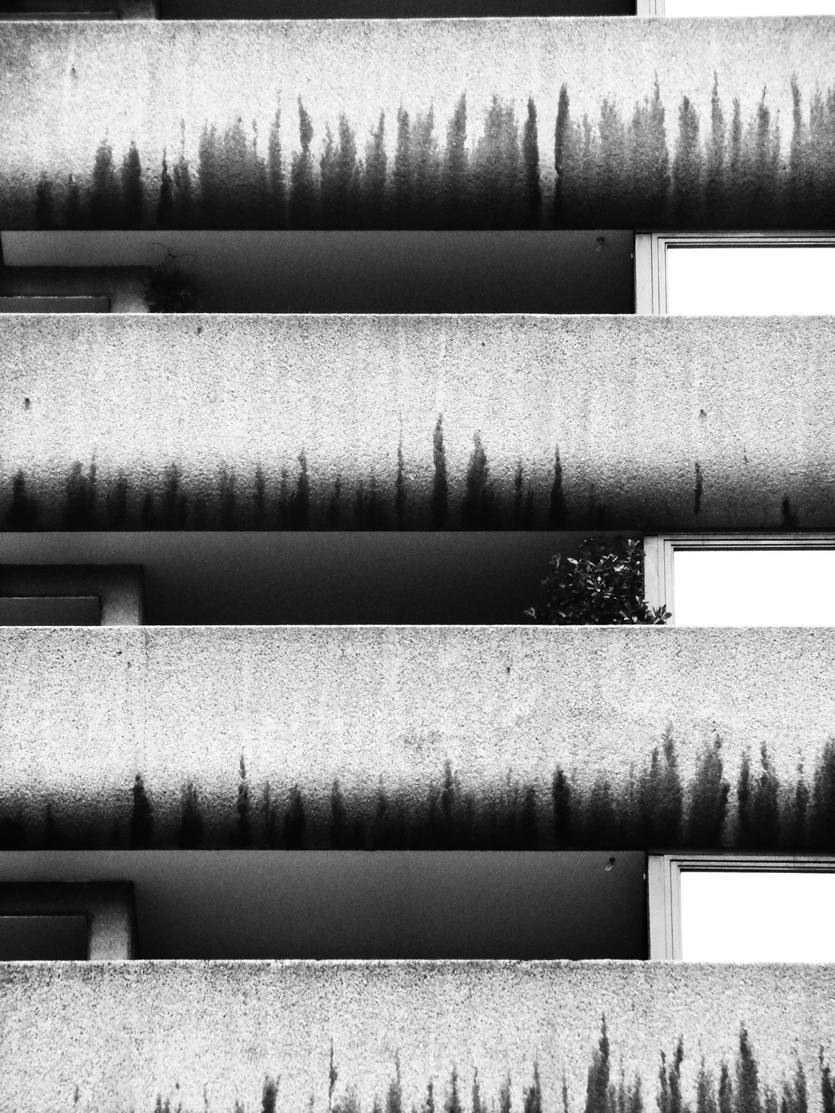 伦敦摄影之旅丨英国伦敦-7