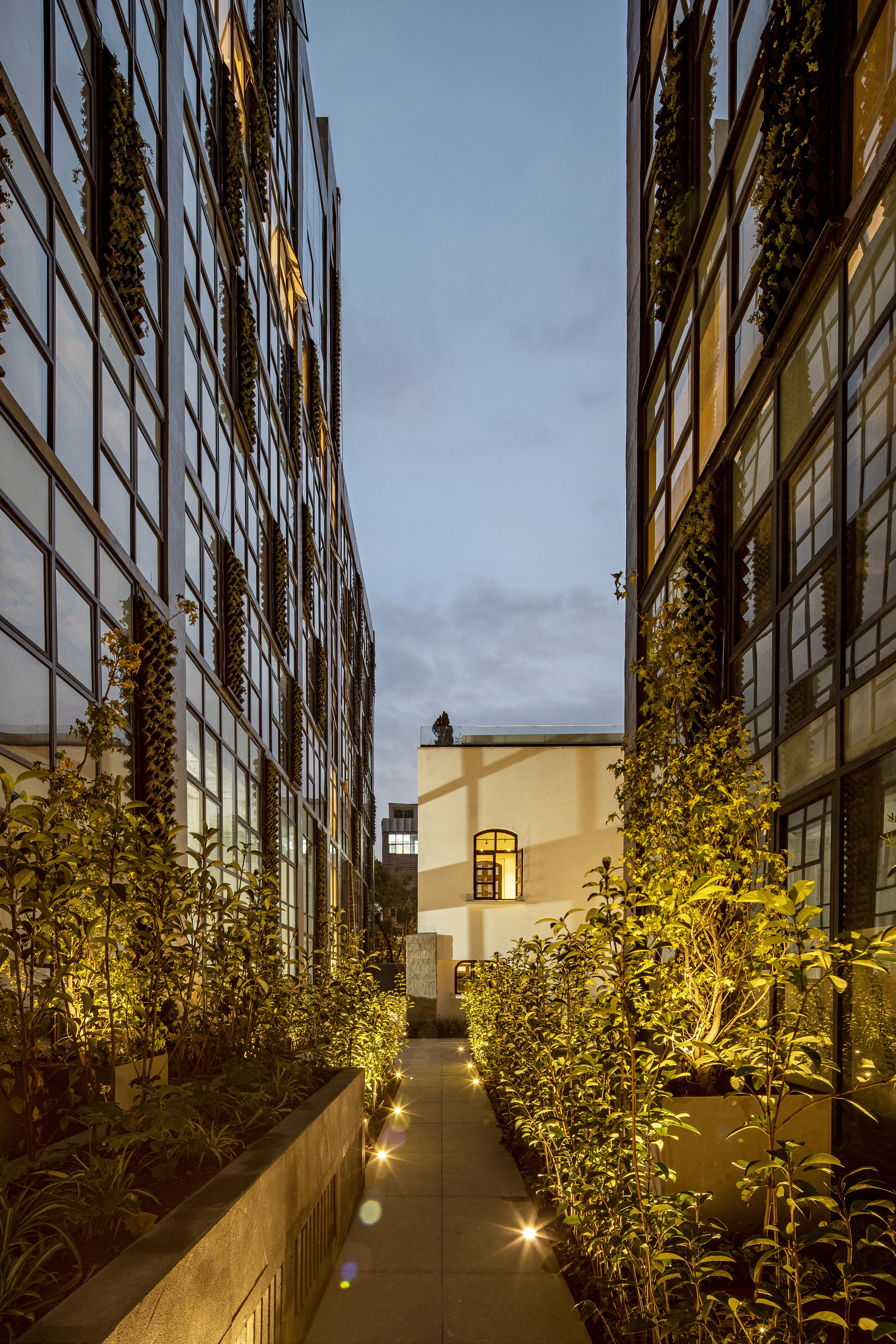 Bajío 307 住宅综合体丨墨西哥墨西哥城丨BRAG Arquitectos-36