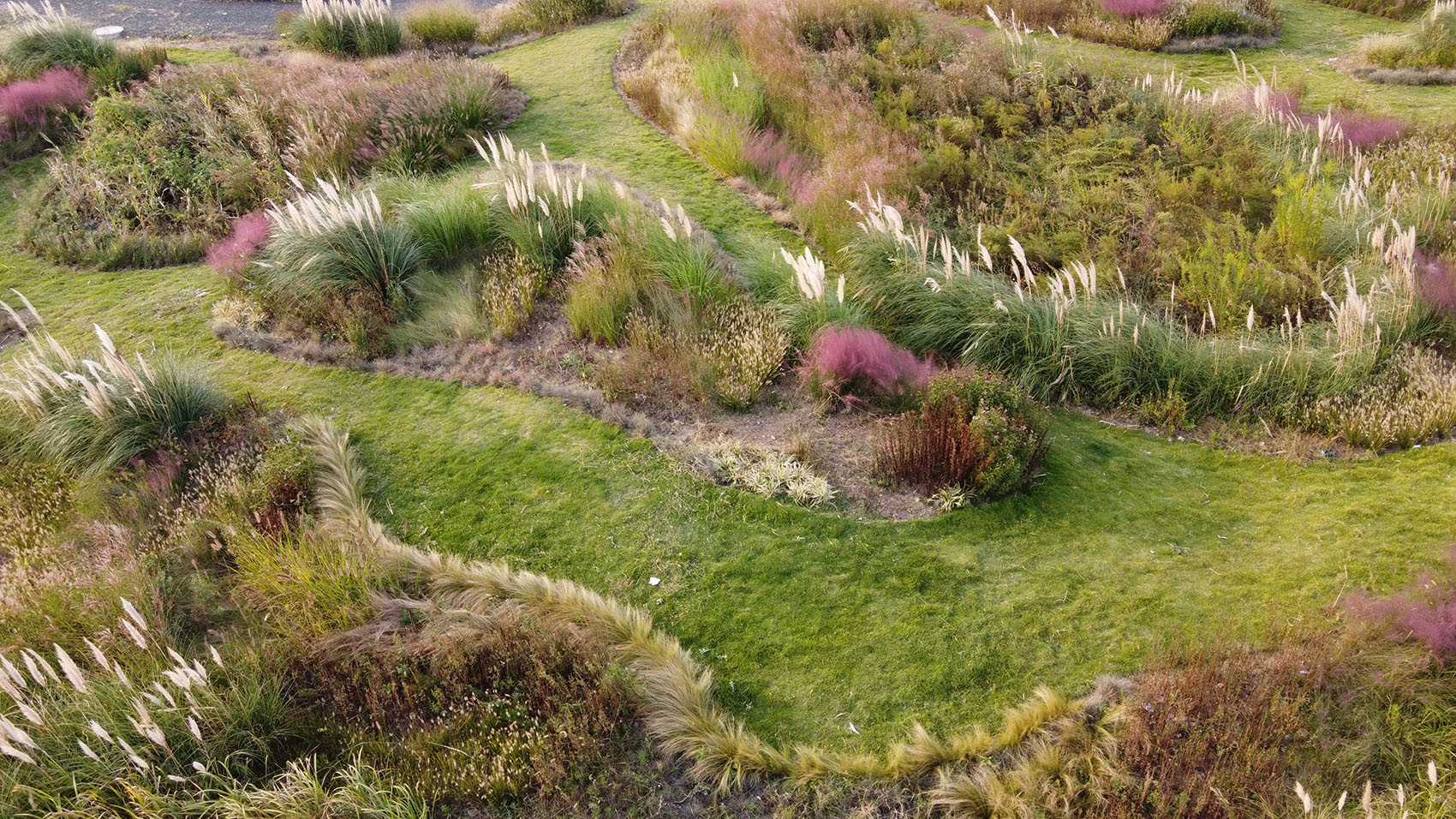 多岛海野草公园丨中国日照丨孔祥伟工作室-75