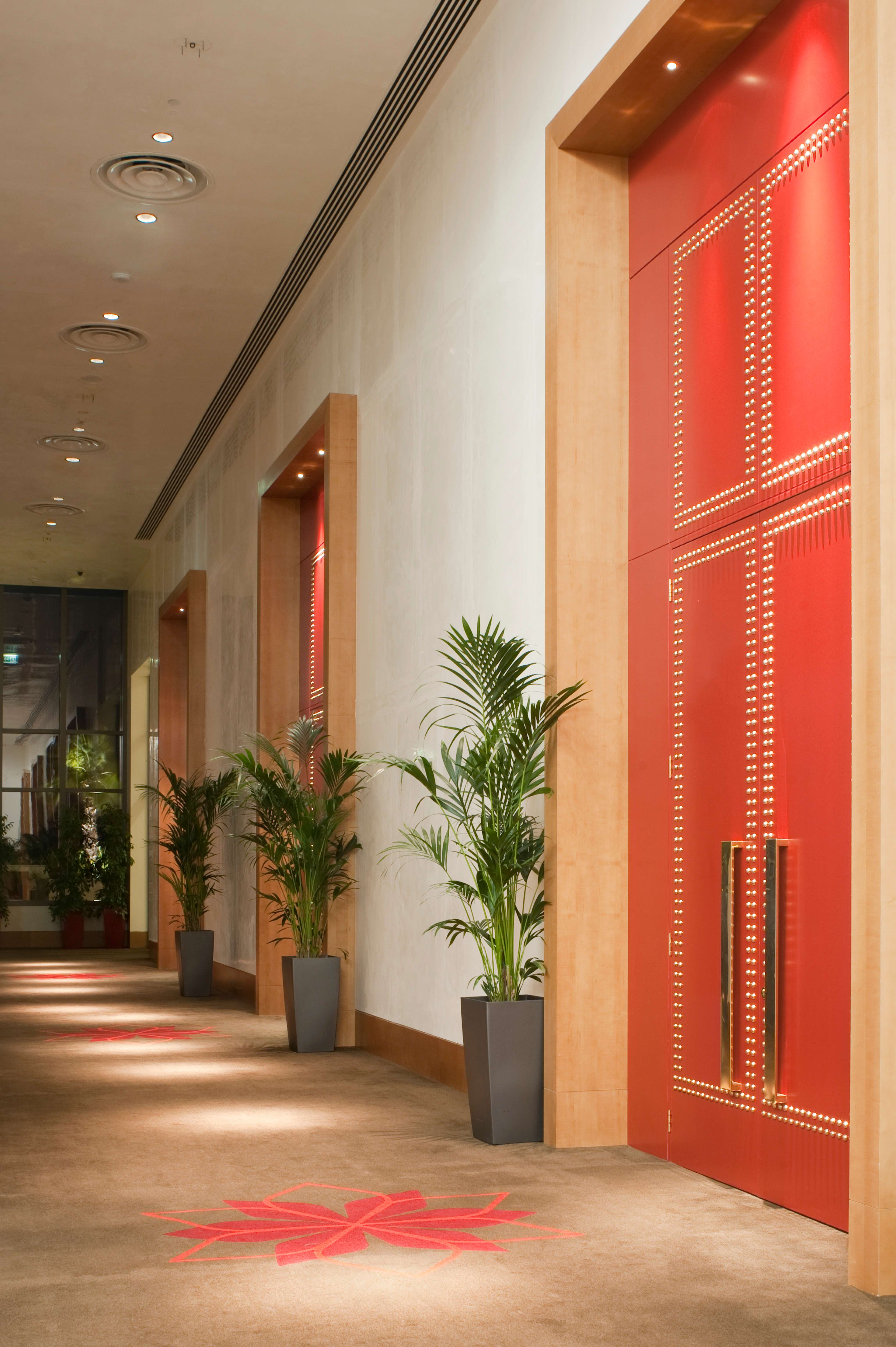 阿布扎比亚斯岛皇冠假日酒店(摄影图片)-13