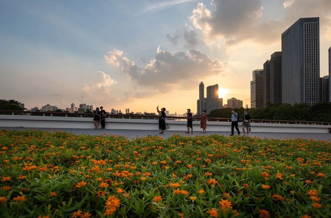 海心桥北岸景观提升改造项目丨中国广州丨华南理工大学建筑设计研究院有限公司-66