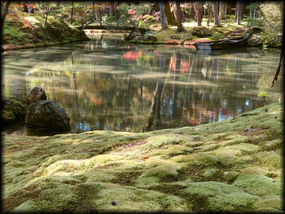 苔寺（西芳寺）的苔庭（黄金池,金刚池）丨日本京都丨梦窗疎石-33