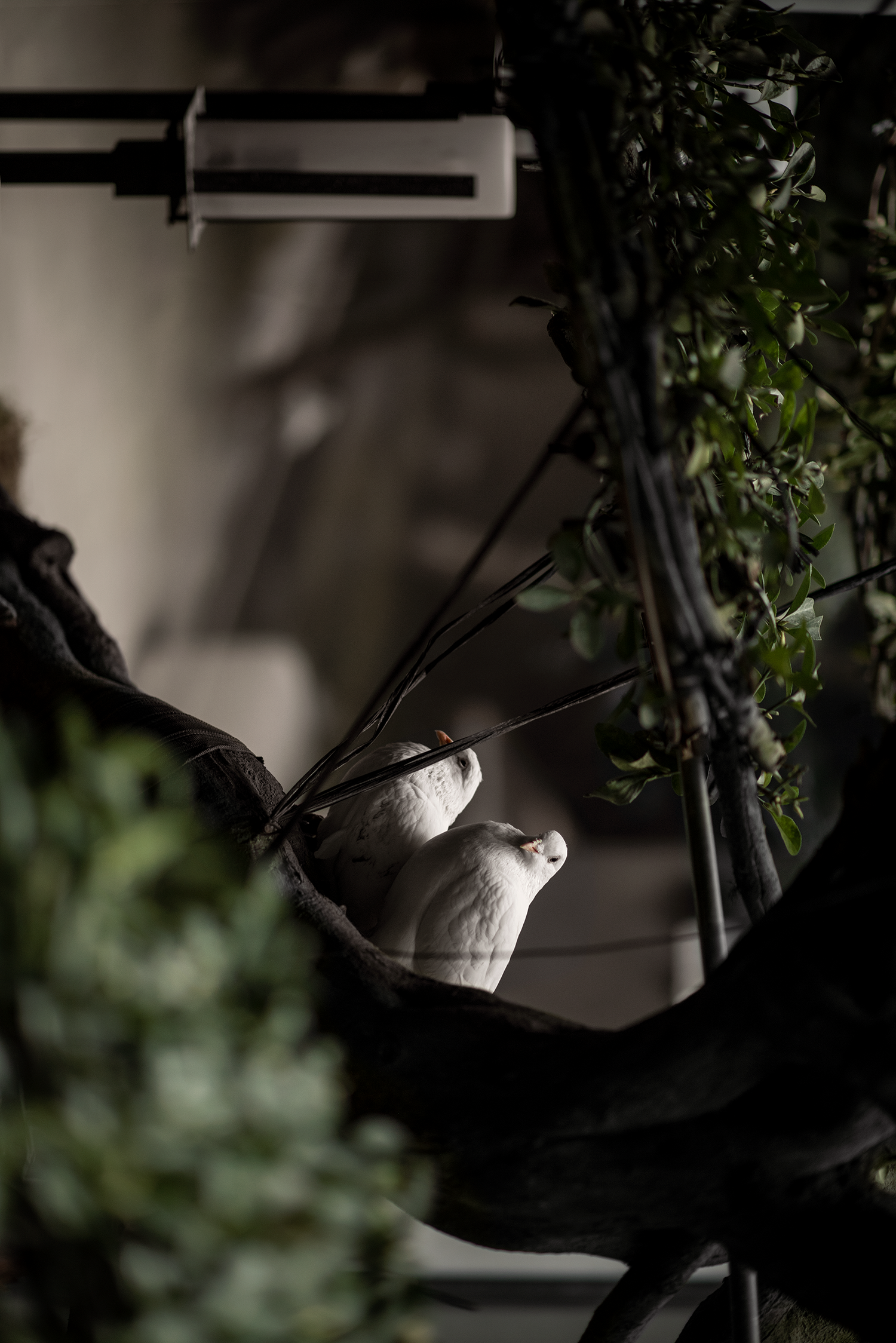 素丘園丨中国四川丨PONE普利策-30