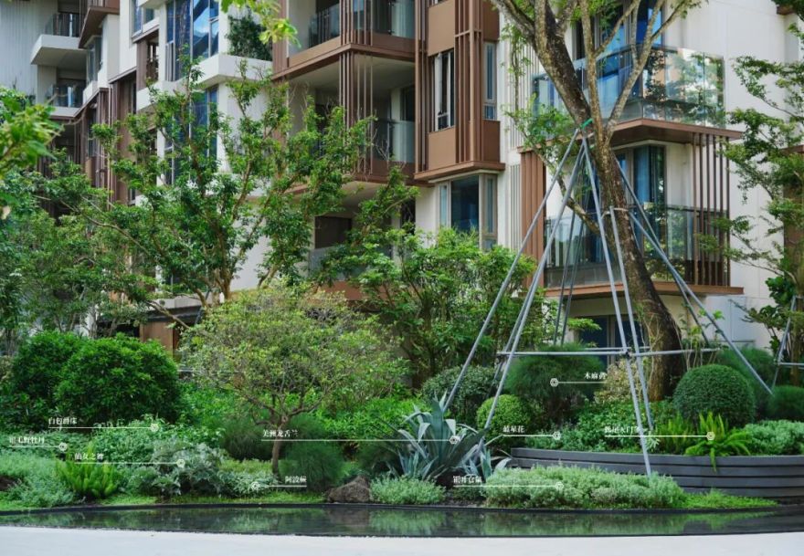 于热带秘境中编织生活美学|江东麓岛阅海澜岸2期花境项目-62