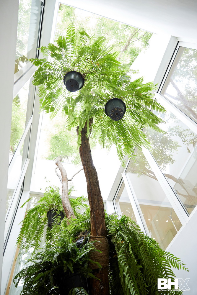 基本之美的家庭住宅-38