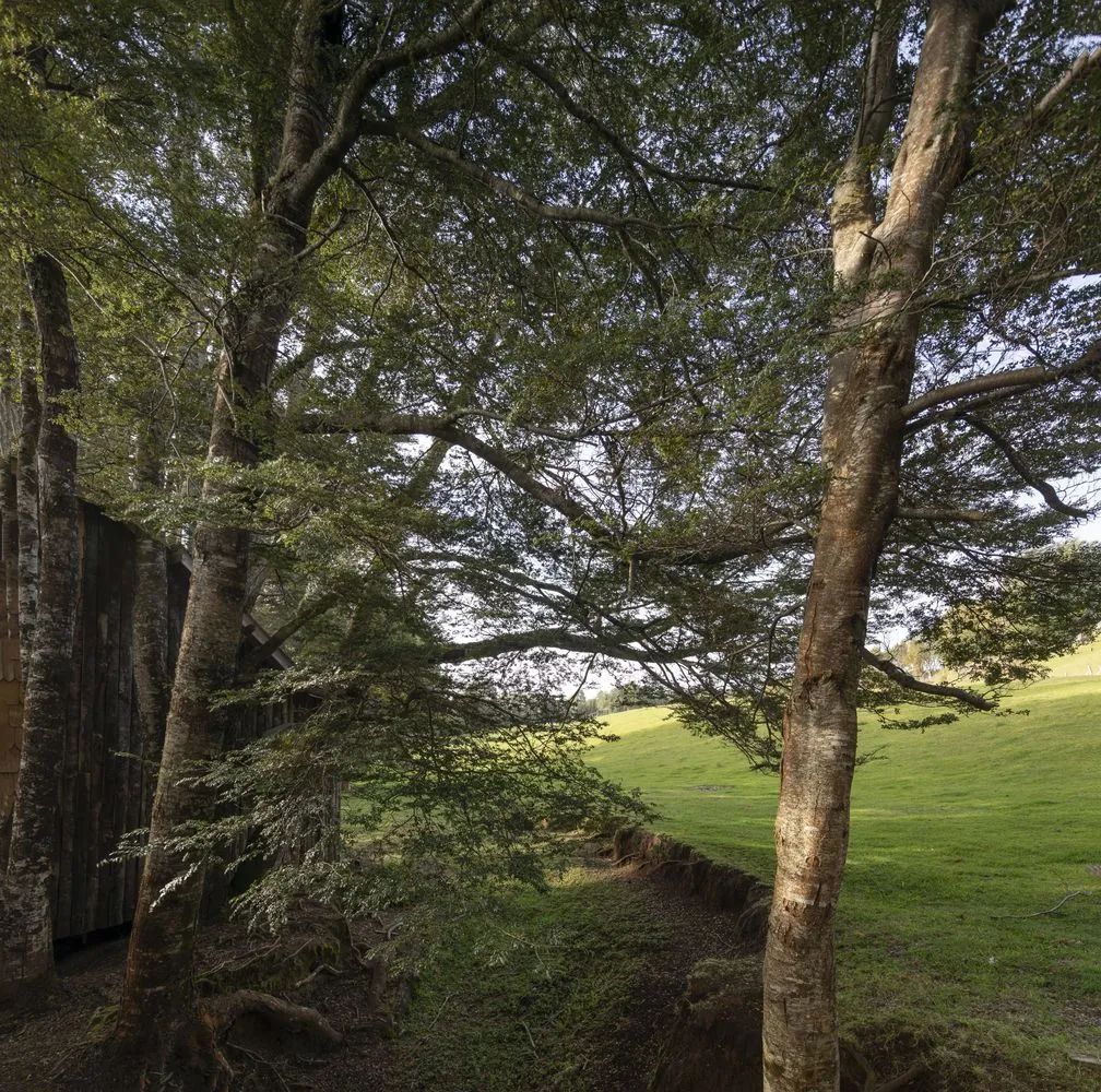 木屋世界 | 奇洛岛奎伦公社自然奢华露营-28