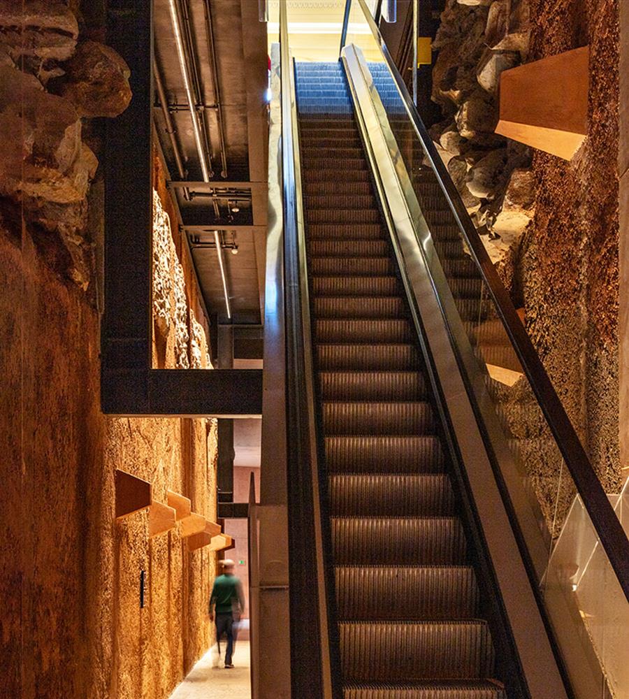 伊皮兰加博物馆的现代化和修复-25