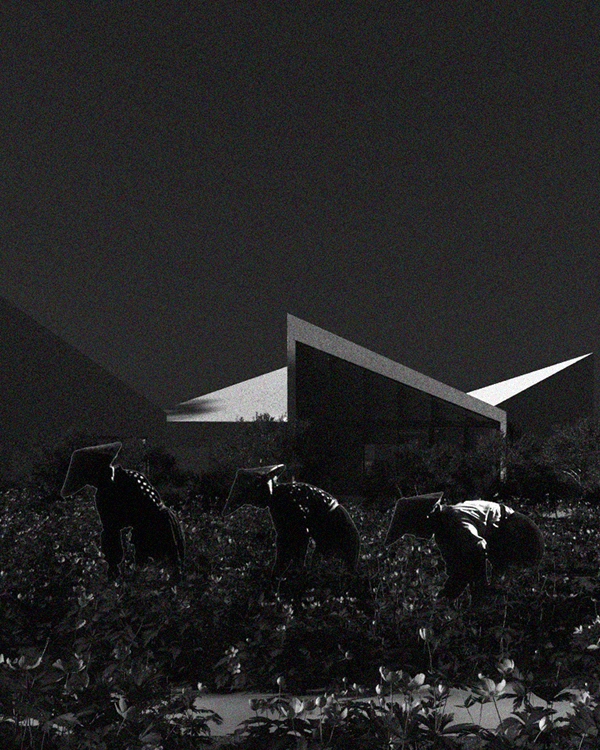 DRAFT SESSION #2 - LIBRARY IN CHRYSANTHEMUM FIELD-15