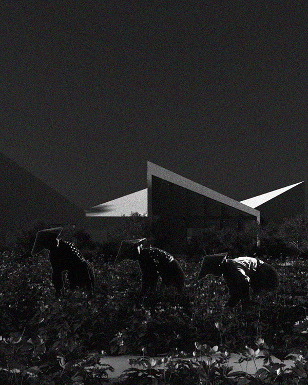 DRAFT SESSION #2 - LIBRARY IN CHRYSANTHEMUM FIELD-15
