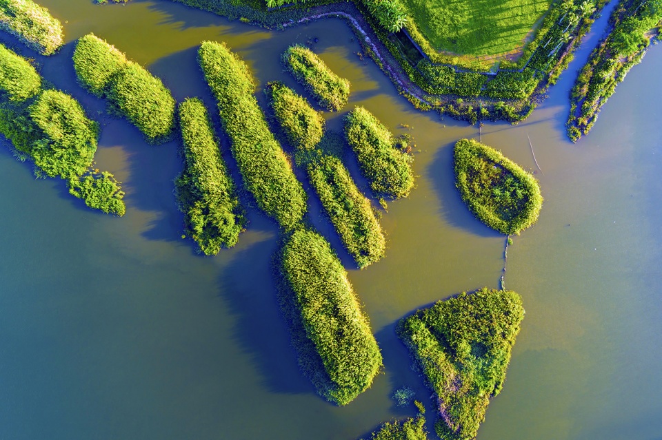 美舍河凤翔公园-49