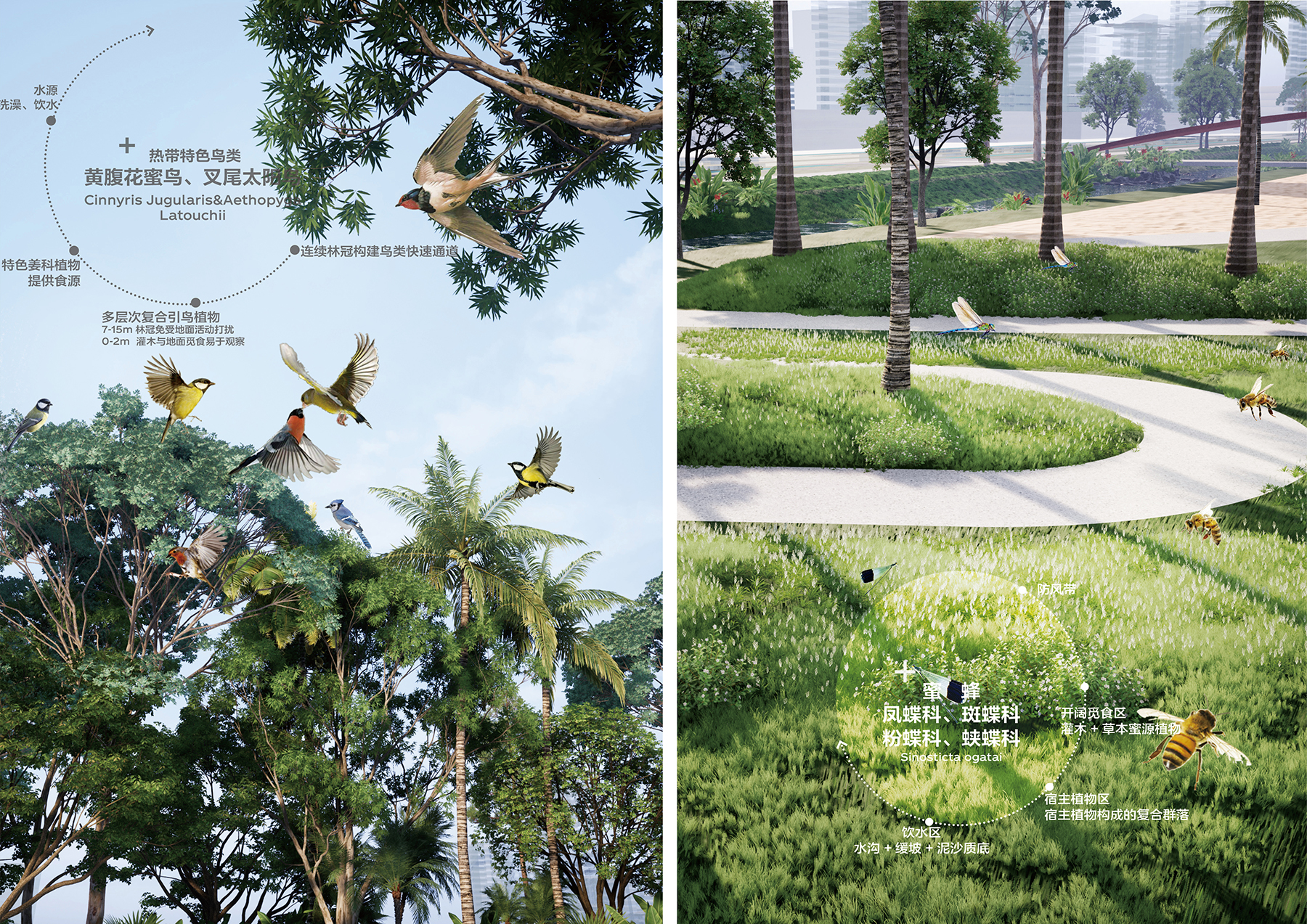 南繁时针,灵感之尺  三亚崖州湾科技城中央公园方案设计国际竞赛丨中国三亚丨MLA+亩加建筑规划（深圳）有限公司等三家公司-32