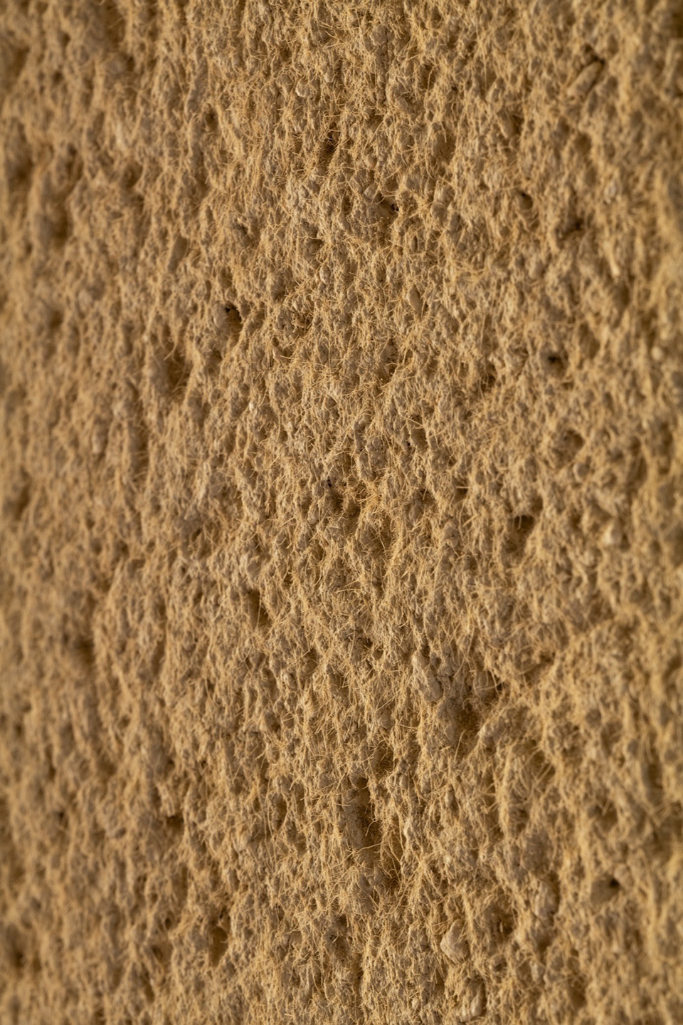 Boso别墅丨日本丨Kenichi Teramoto,office of Teramoto-126