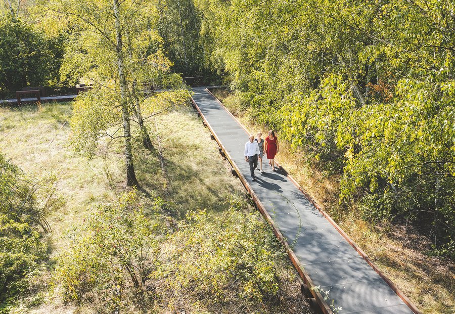 柏林南场地转型项目（含自然公园等）丨德国柏林丨未明确提及-45