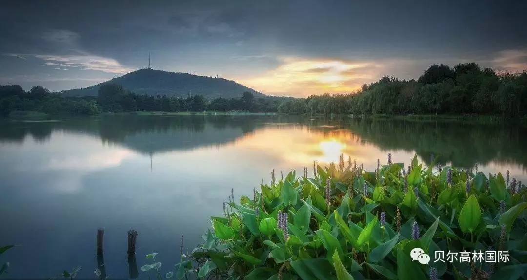 合肥新华•御湖庄园-15