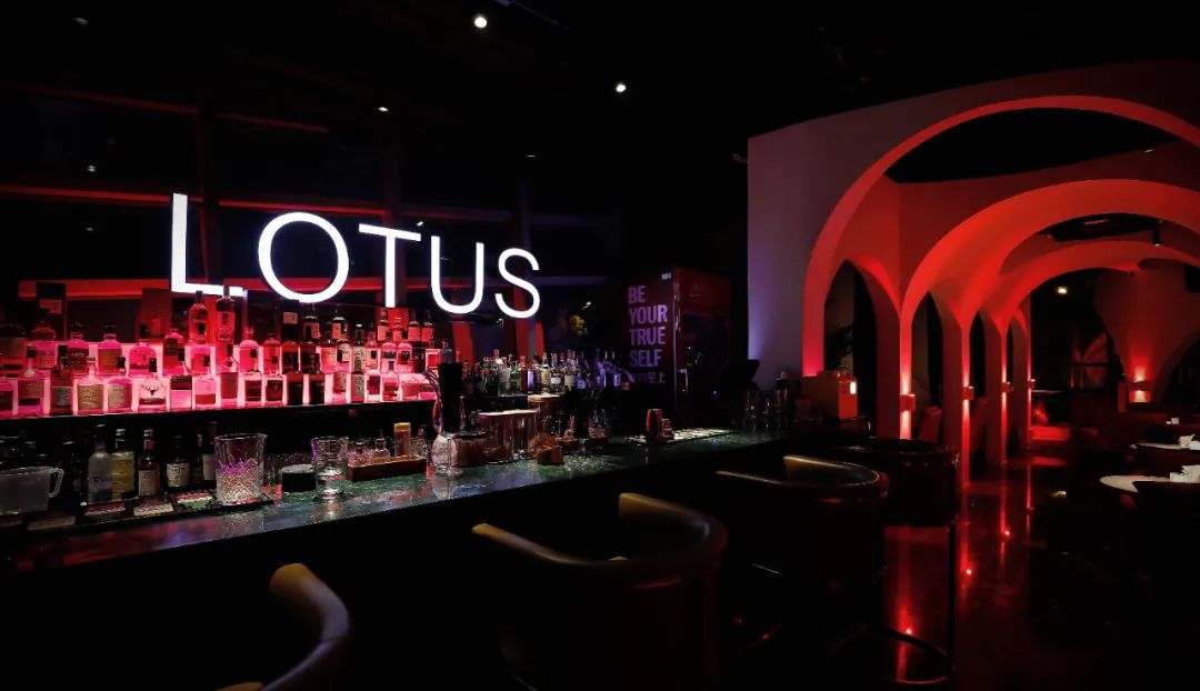 圣洁的韵律｜隐秘绽放的水边酒吧-22