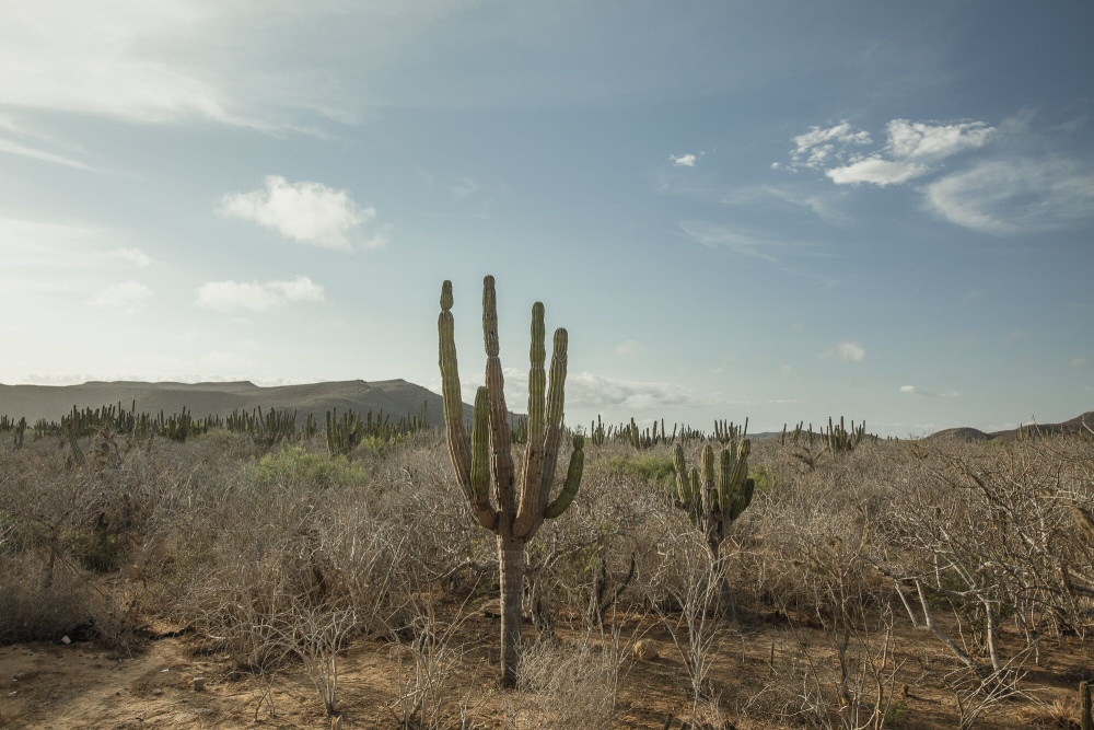 墨西哥托多斯·桑托斯度假酒店丨耶克塔霍·瓦尔迪兹建筑师事务所-28