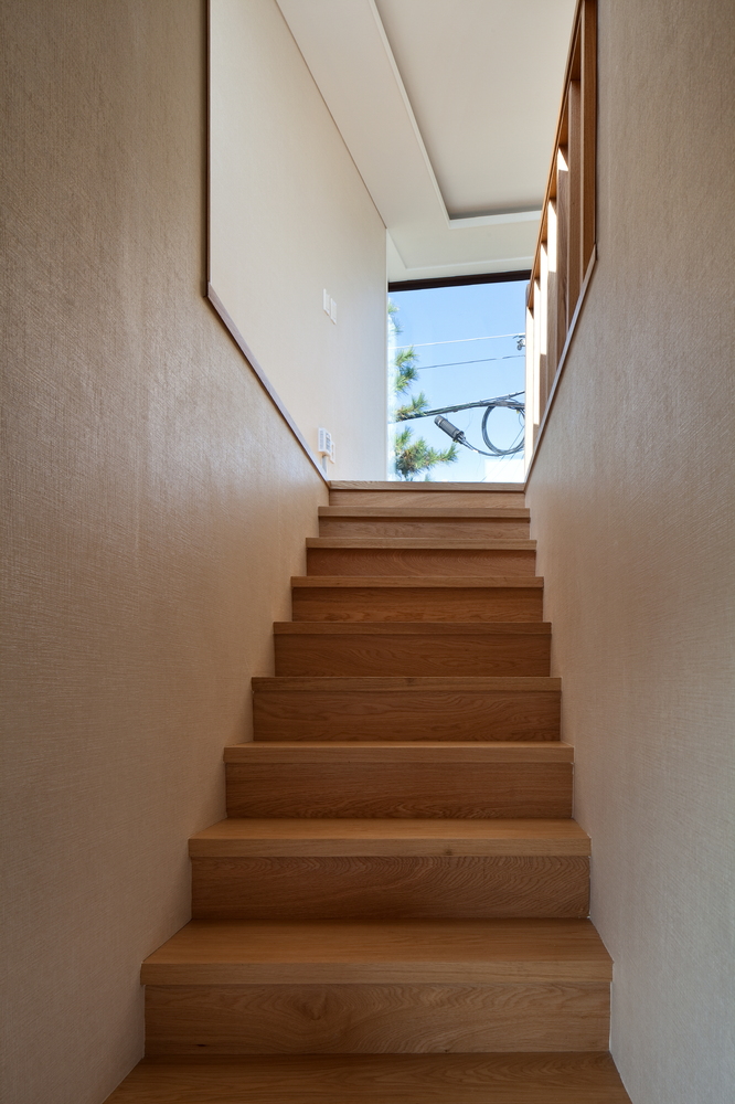 Half House  Architects Group RAUM-58