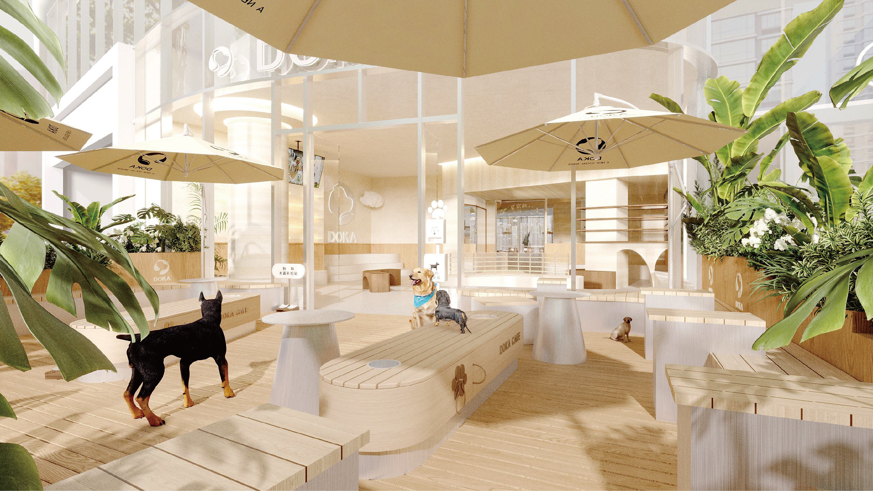 DOKA（南昌店）丨中国南昌丨策设天合设计 ® CSdesign ®-22