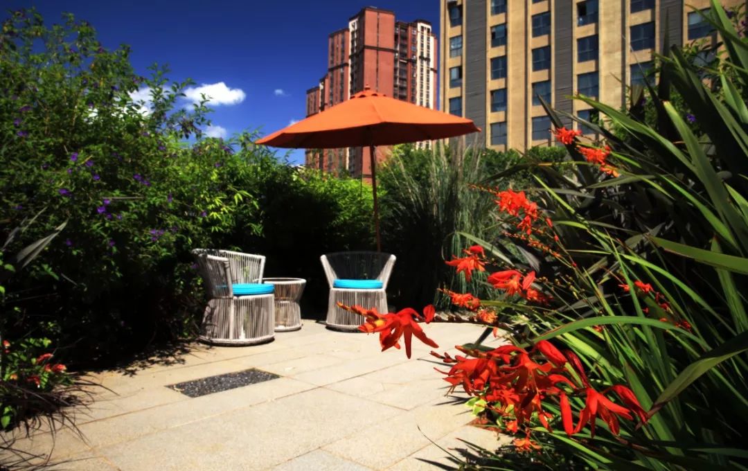 本木露台 | 自然浪漫的休闲空间-34