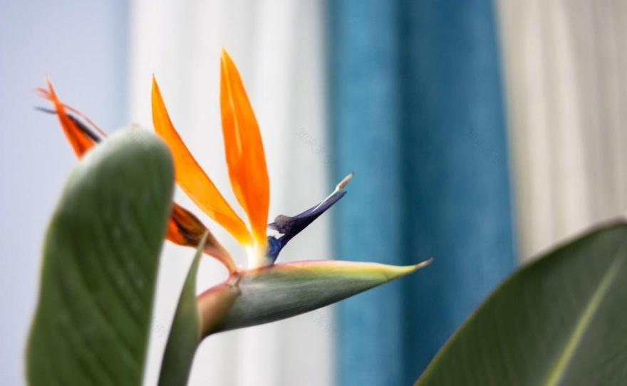 旅行主题的混搭之家——自然清新,功能齐全-32