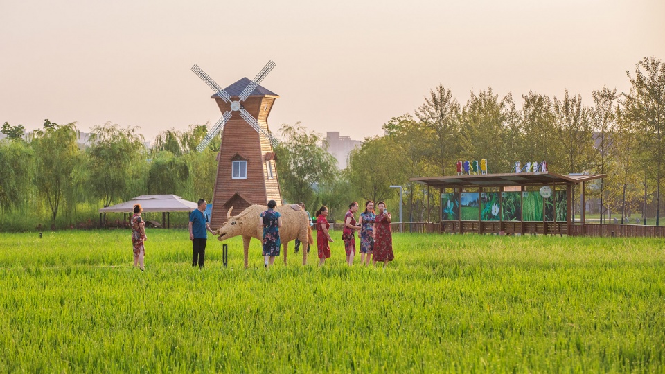 长安公园稻香园丨中国西安丨上海赤地设计事务所-18