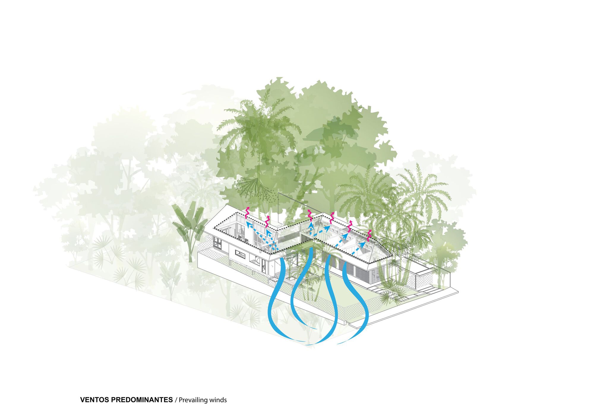 丨巴西丨Laurent Troost Architectures-52