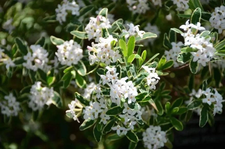 南昌东站新建南昌至景德镇至黄山铁路丨中国南昌-37