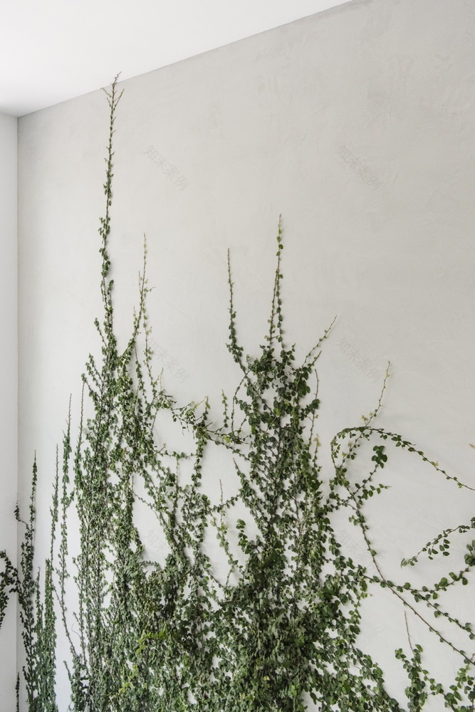 纽约布鲁克林公园街区翻新项目-33