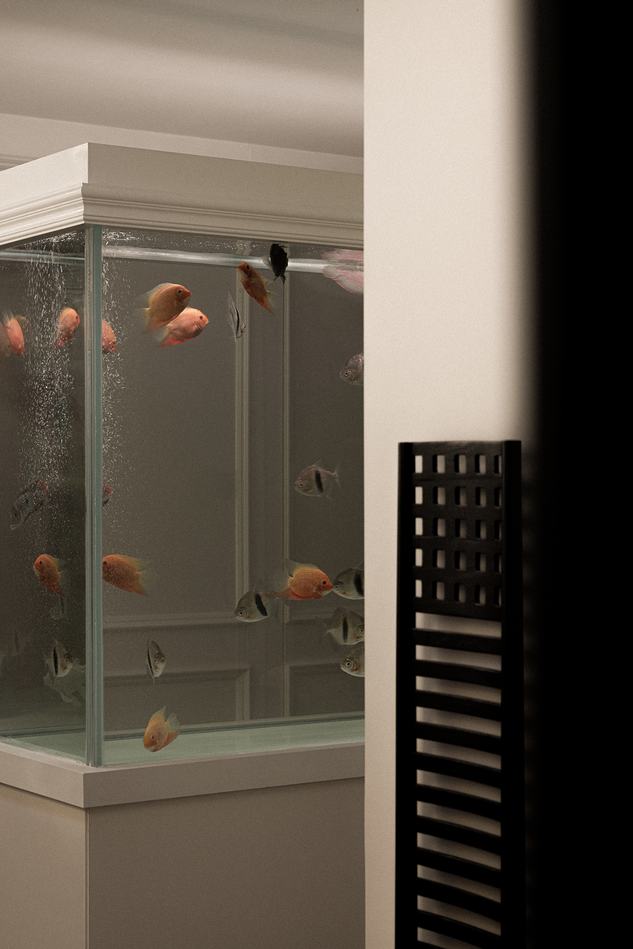 重塑古典主义丨中国杭州丨为设计-83