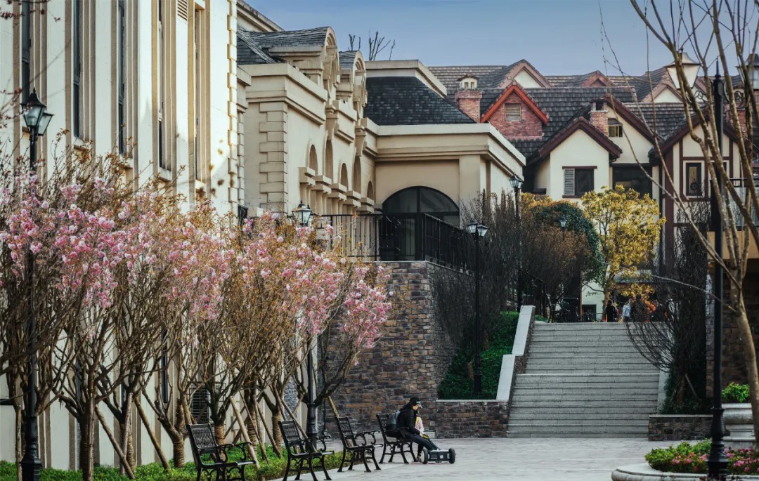 重庆中海·黎香湖别墅区景观丨中国重庆丨伯立森景观-35