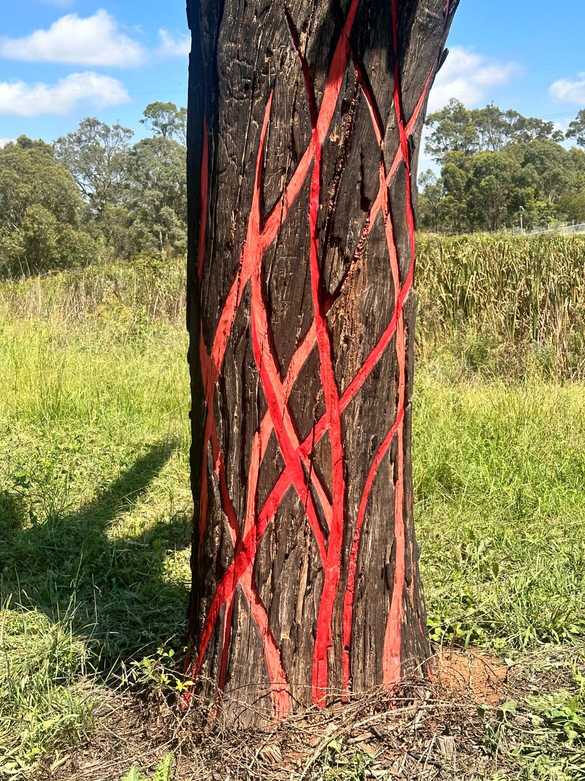 Supporting First Nations artists - Tilt | Indesignlive-9