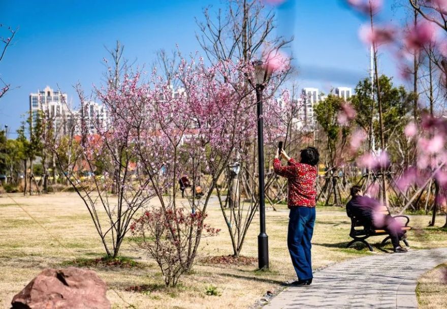 上海松江方松体育公园-67