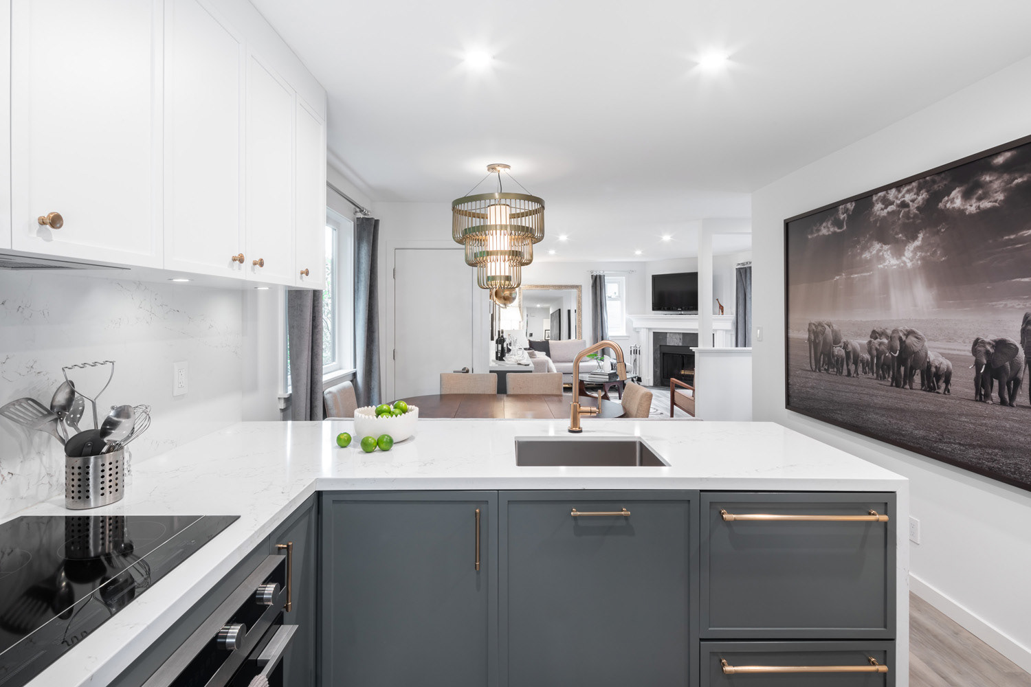 Vancouver Renovation-5