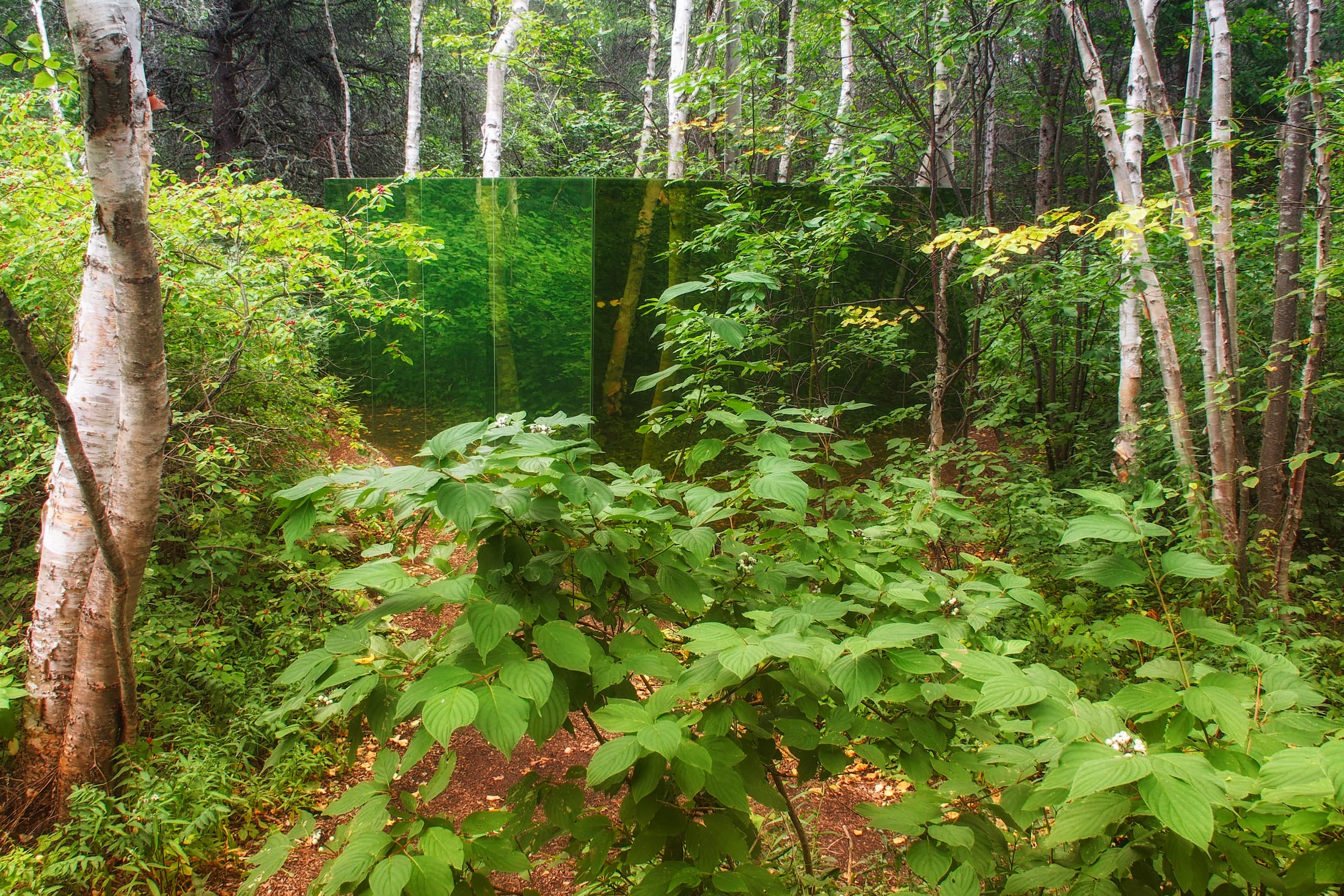 2019 加拿大国际花园节 | 彩色“岩石”结构装置引人入胜-118