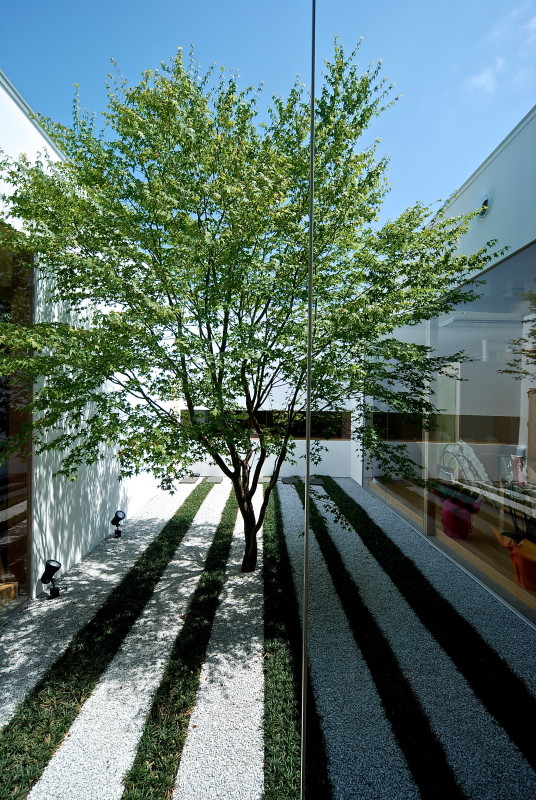 小都里 #108丨日本丨有限会社COGITE-15