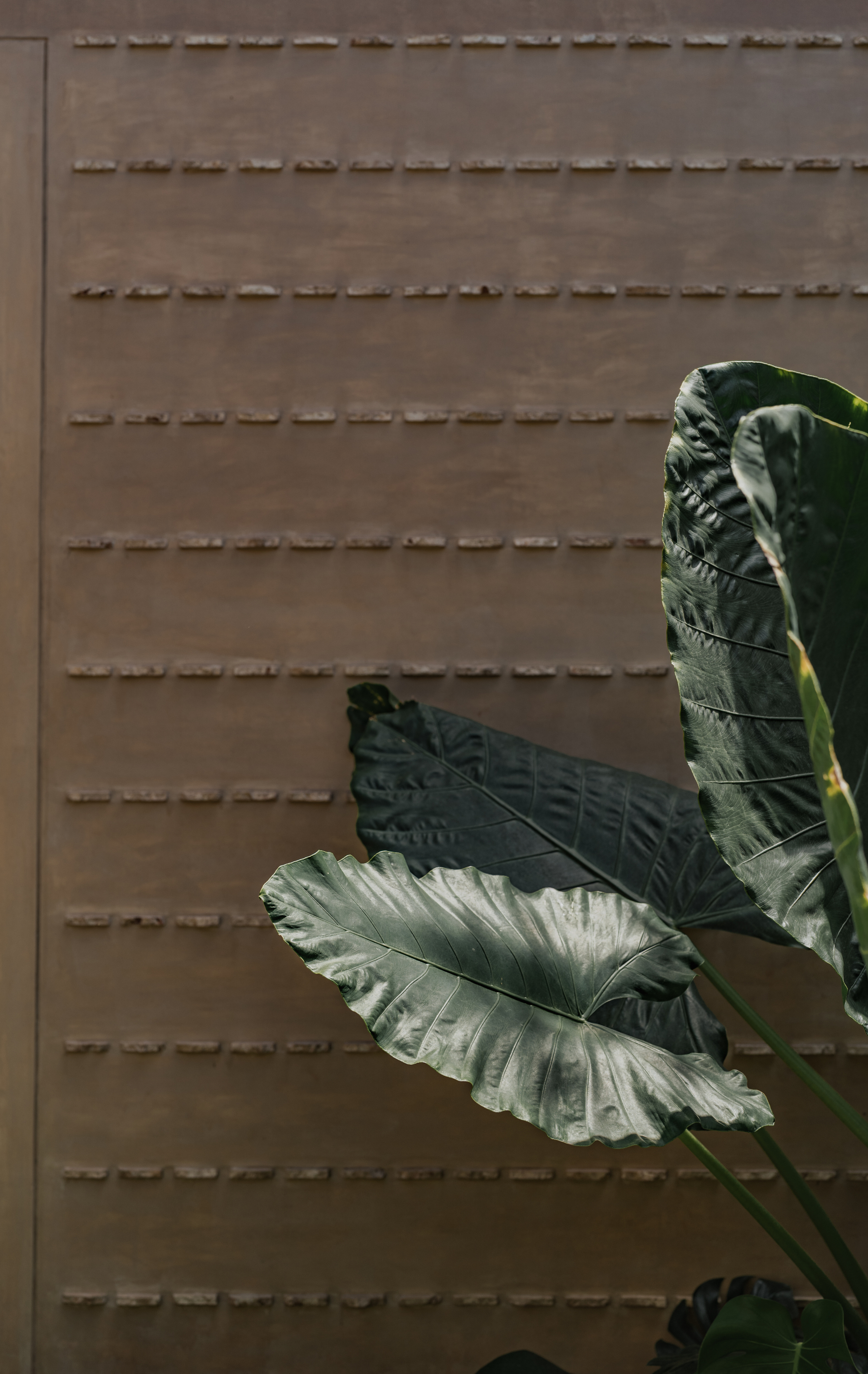 丨TARA Arquitectura-34