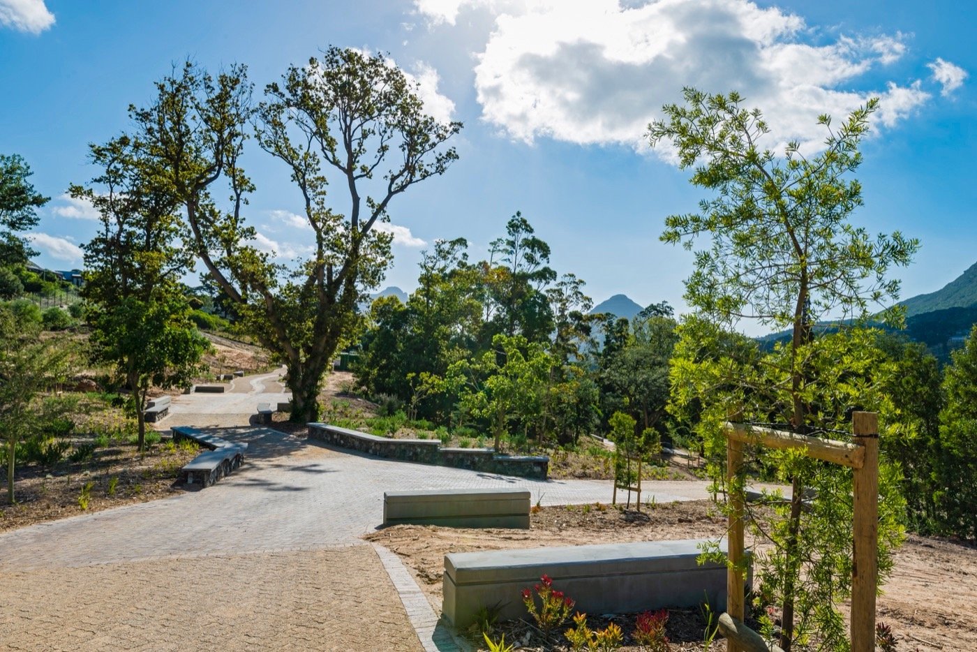 南非阿普尔加思庄园-10