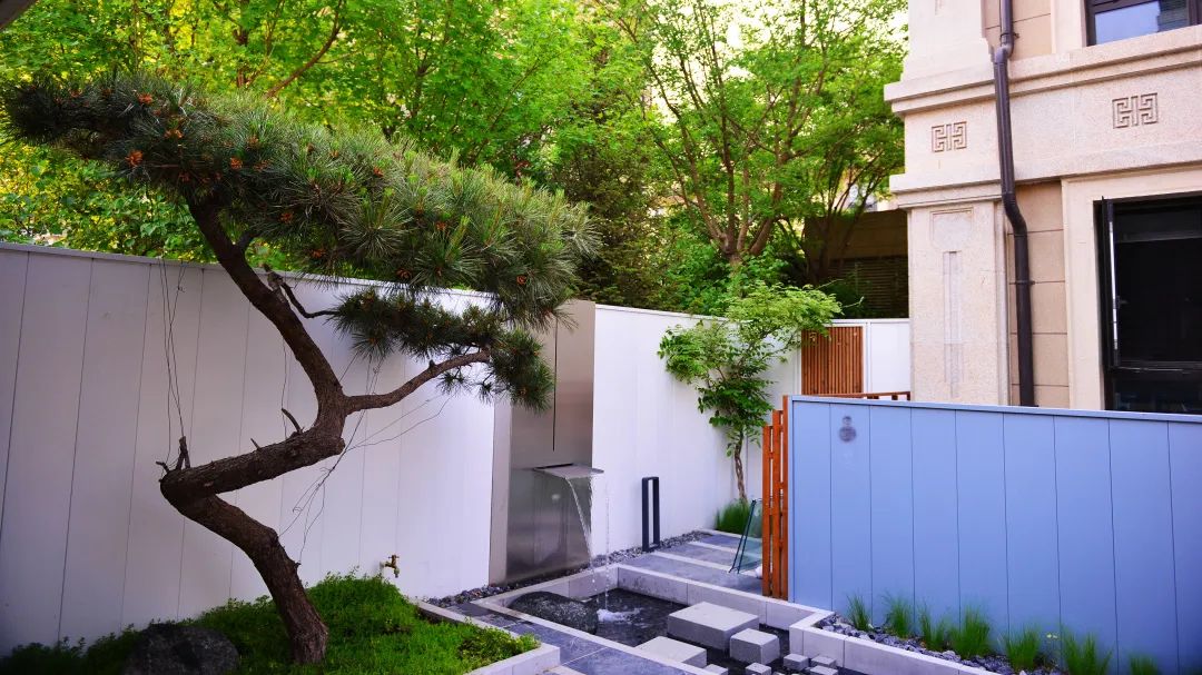 打造独特私家花园，体验简约宁静之美-18