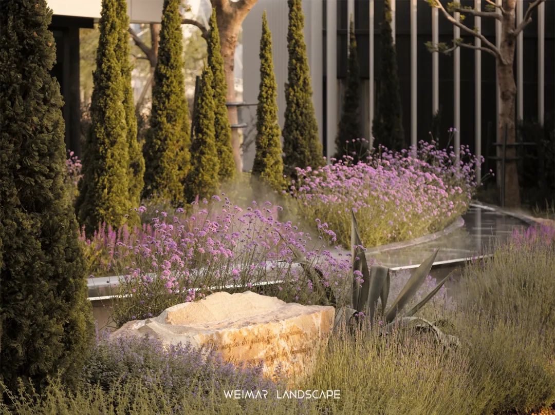 天琴澄音|万华麓湖C16样板岛-53