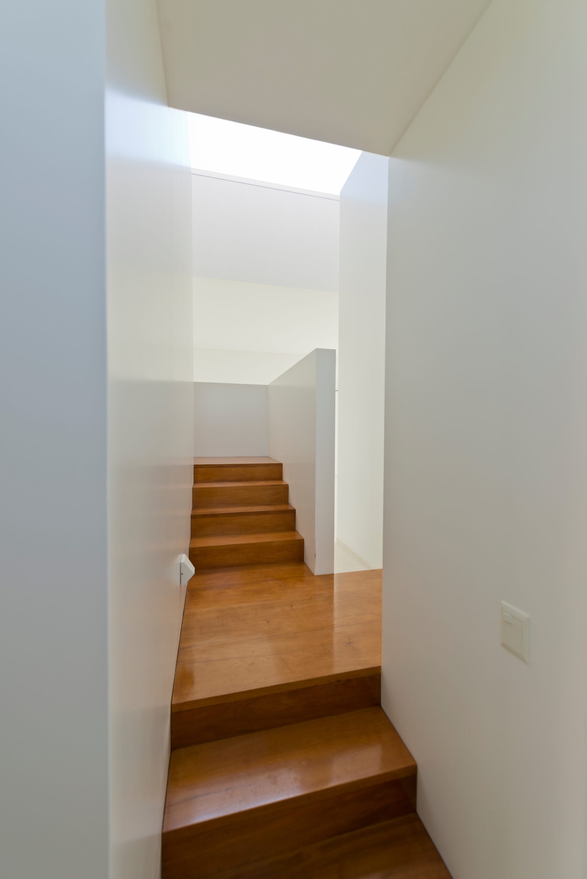 M&P House | 邻里和谐的城市绿洲-22