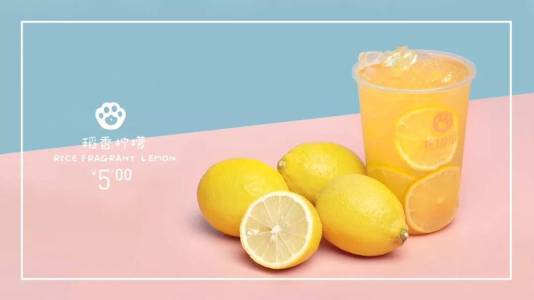 美一天，每一天——花猫田酸奶饮品店设计赏析-20