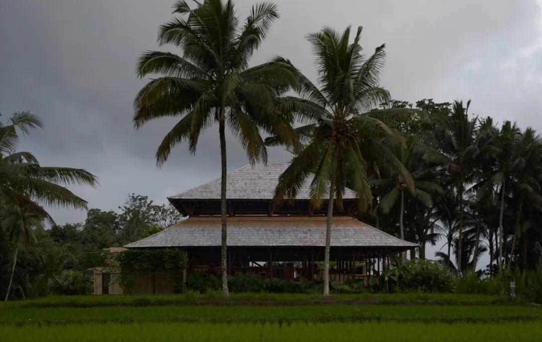 印尼 Begawan Biji 餐厅丨印度尼西亚巴厘丨Blanco Studio-7