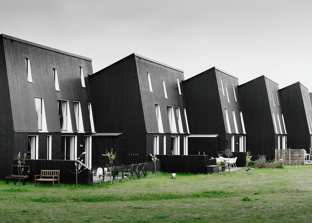 Anastasiya Gushchina丨别墅建筑丨Svalin-6