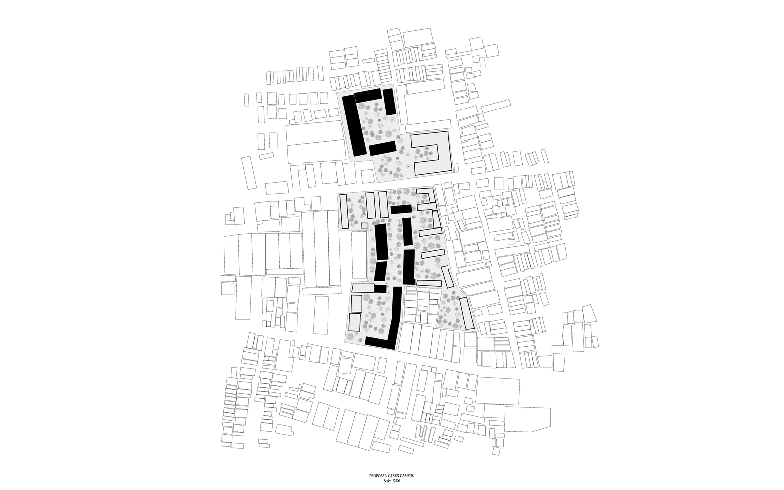 南田学校丨柬埔寨丨Bloom-4