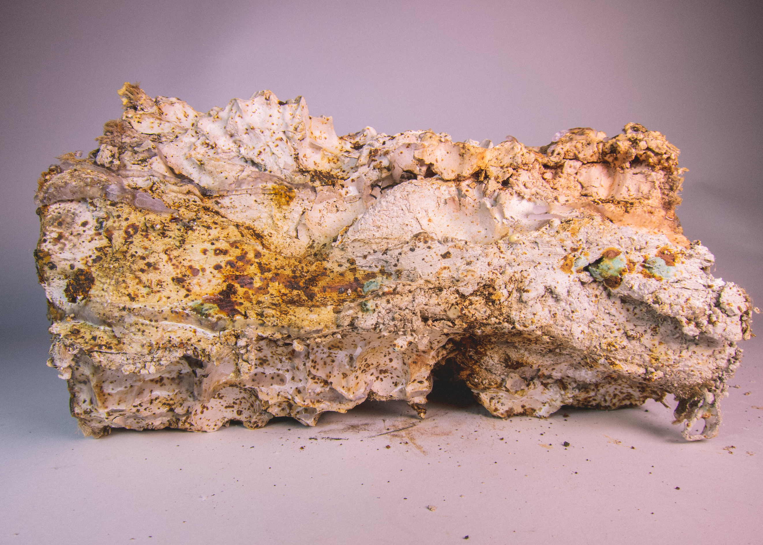 地形，生命形态丨未明确提及-8