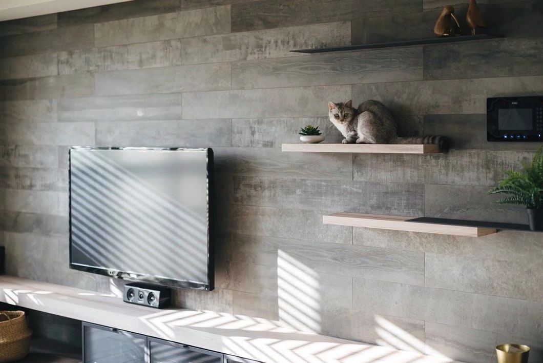 猫奴专属家居设计,打造猫咪欢乐空间-8